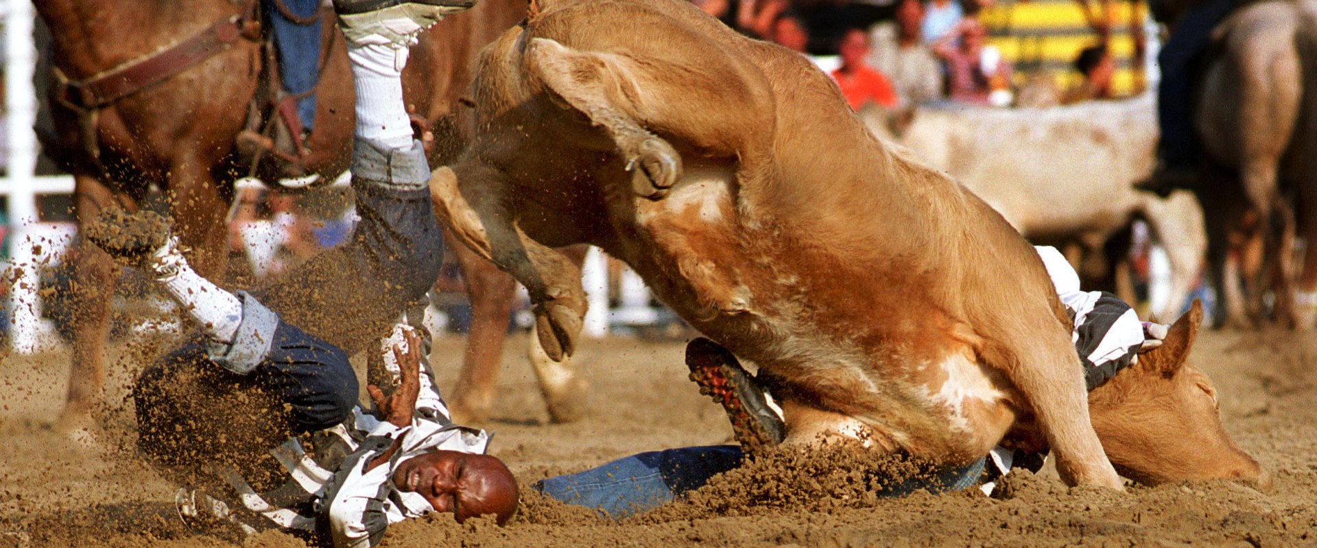Safety Measures Taken at Rodeos in Bossier City, Louisiana