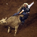 Safety Measures Taken at the Rodeo in Bossier City, Louisiana