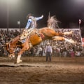 Medical Services at the Rodeo in Bossier City, Louisiana