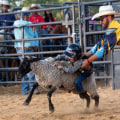 Experience the Thrill and Excitement of the Rodeo in Bossier City, Louisiana