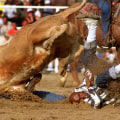 Safety Measures Taken at Rodeos in Bossier City, Louisiana