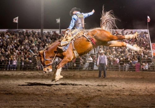 Medical Services at the Rodeo in Bossier City, Louisiana