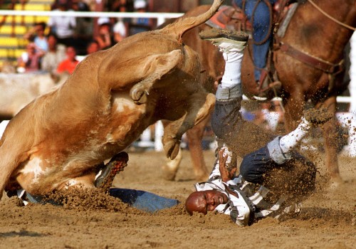 Safety Measures Taken at Rodeos in Bossier City, Louisiana